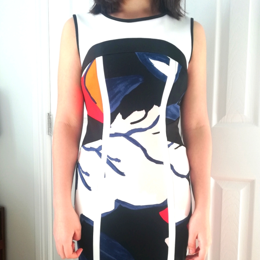 NWOT Gorgeous fitted size 4 dress designer Frank Lyman